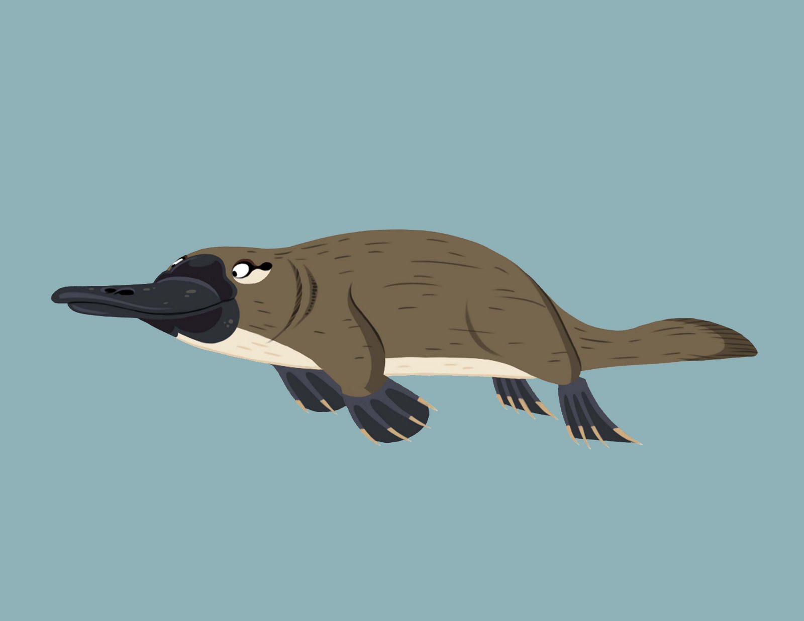 List of species seen in Wild Kratts | Wild Kratts Wiki | Fandom