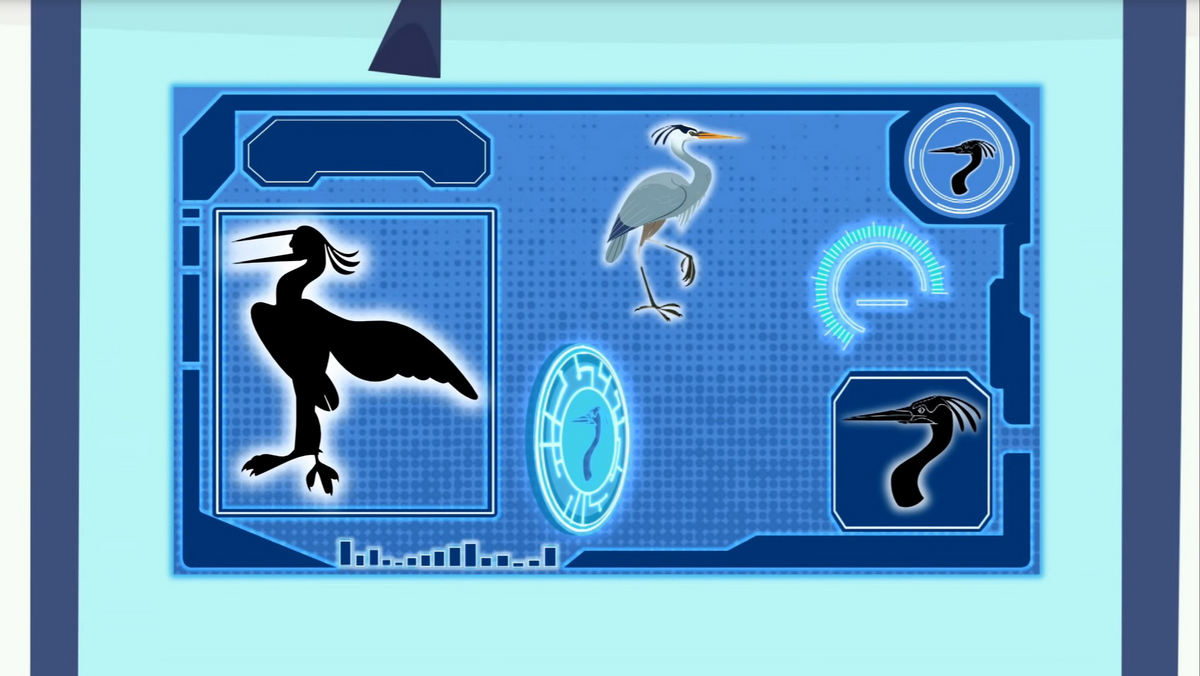 Wild kratts blue heron full episode top