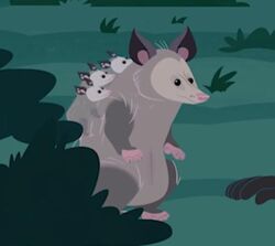 List of animal friends in Wild Kratts | Wild Kratts Wiki | Fandom List of animal friends in Wild Kratts | Wild Kratts Wiki | Fandom