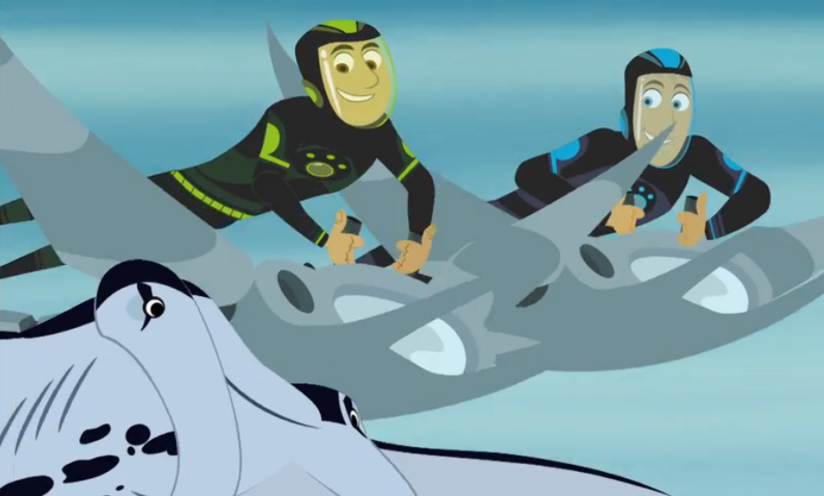 Stuck on Sharks/Gallery | Wild Kratts Wiki | Fandom
