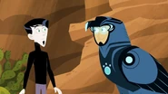 Wolf Hawks | Wild Kratts Wiki | Fandom