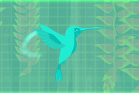 Hummingbird Wild Kratts