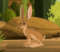 Antelope Jackrabbit.png (769 KB) Antelope Jackrabbit