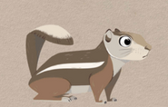 Harris' Antelope Squirrel (Ammospermophilus harrisii)