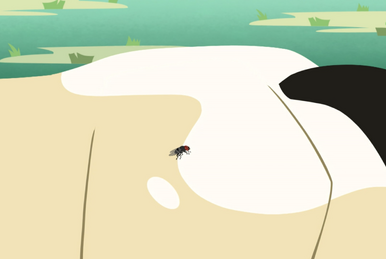 Wild kratts sloth bear suction full episode 2025