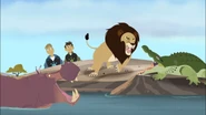 Lion–Croc–Hippo three-fight