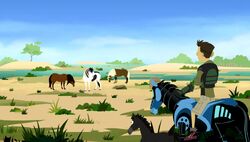Wild kratts wild ponies cheap full episode