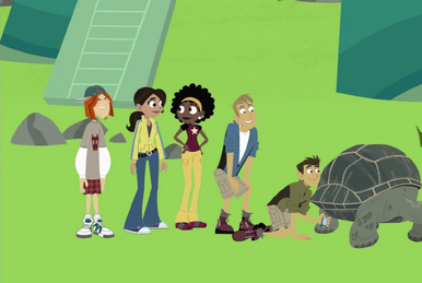 Box Turtled In Wild Kratts Wiki Fandom
