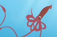 Giant Squid (Architeuthis dux)