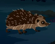 European hedgehog (Erinaceus europaeus)