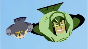 Torpedo-Shaped Body/Wind Resistant Feathers