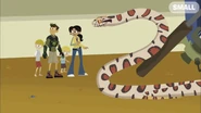 Chris, Aviva, Gavin, and Ronan are threatened by a milk snake that is distracted by Martin.