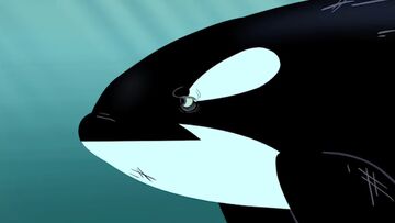 Wild kratts orca full episode cheap