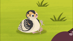 List of animal friends in Wild Kratts | Wild Kratts Wiki | Fandom List of animal friends in Wild Kratts | Wild Kratts Wiki | Fandom