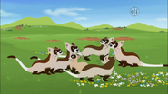 List of species seen in Wild Kratts | Wild Kratts Wiki | Fandom