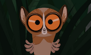 Mouse Lemur-WK'