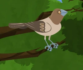 Animation (Female)