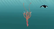 Giant Squid with the Colossal Squid animation model.