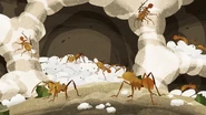 Leafcutter Ant Small Workers and Larvae.png (4.01 MB)