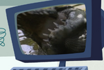 Crocodile mouth with teeth on Aviva's screen. Aviva shows this to assure Jimmy that crocodiles are cold-blood monsters.