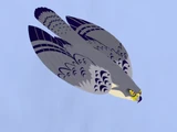 Torpedo