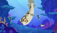 Blowfish.Wild Kratts