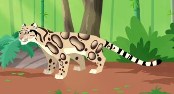 Clouded Leopard | Wild Kratts Wiki | Fandom