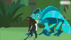 Tiger Power Wild Kratts Wiki Fandom | atelier-yuwa.ciao.jp