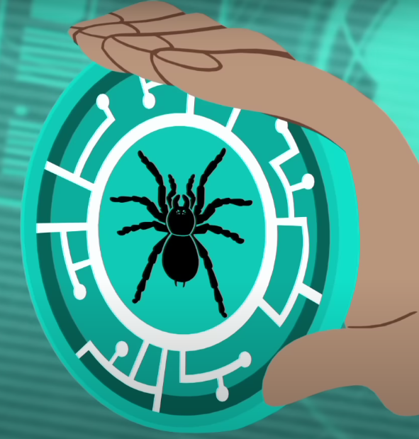 Wild Kratts Creature Power Discs Spider