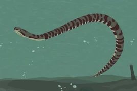Animated