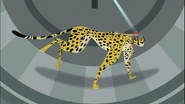 The mind-controlled cheetah (Blur) is used to power the ZTV