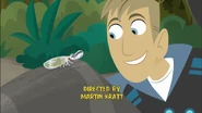 Martin is looking at the bug. It's visible that the episode was directed by Martin Kratt.