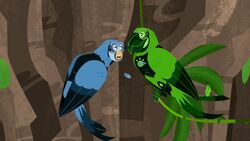 Parrot Power Wild Kratts Wiki Fandom