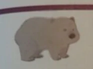 Wombat (Vombatus)