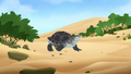 Diamondback Terrapin.png (2.41 MB) Diamondback Terrapin