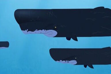 Whale of a Squid The Kratt Brothers Wiki Fandom