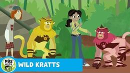 WILD_KRATTS_No_Color,_No_Fun_PBS_KIDS