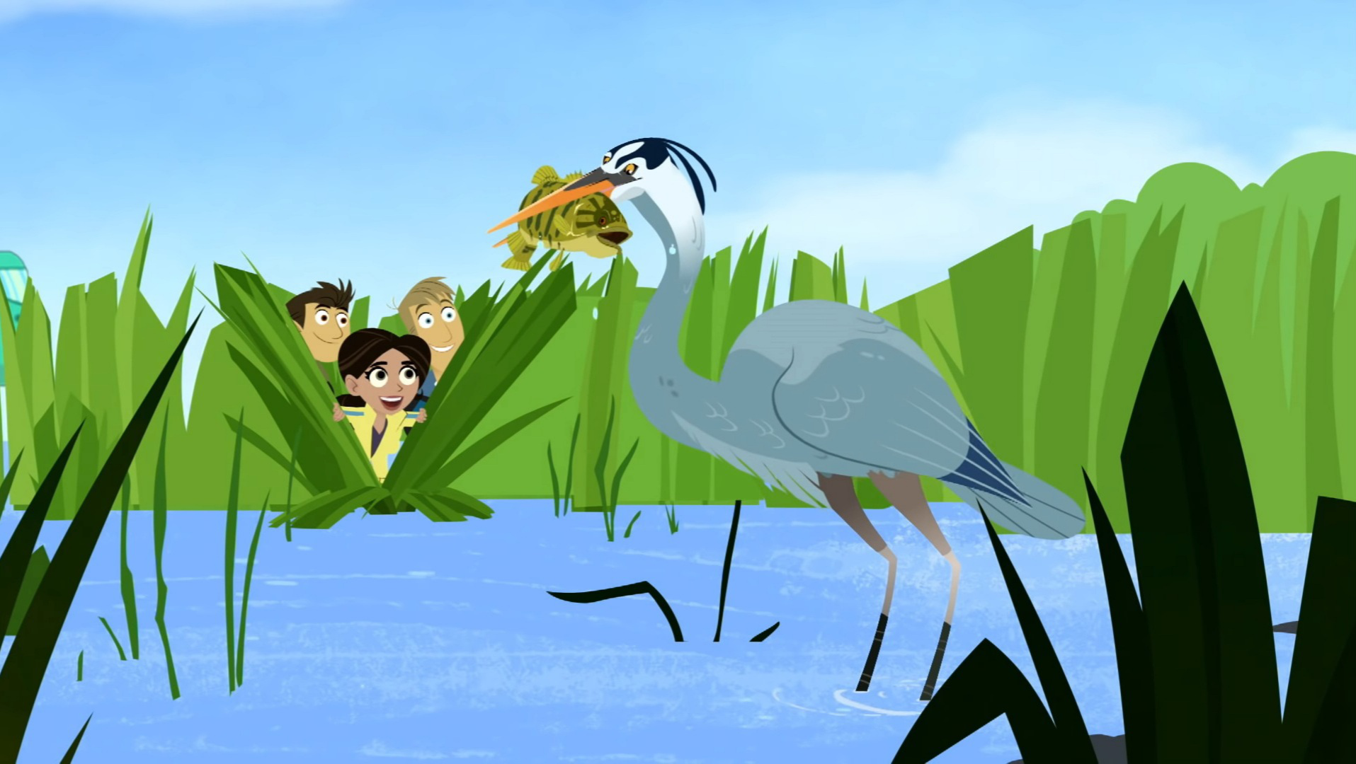 Crocogator Contest, Wild Kratts Wiki