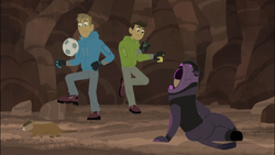 Wild kratts groundhog wake up call full episode hotsell