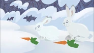 Rabbits with Carrots.png (1.81 MB) The snowshoe hares are presented with carrots.