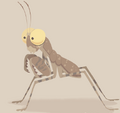 Desert Pebble Praying Mantis.png (87 KB) Desert Pebble Praying Mantis