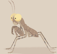 Desert Pebble Praying Mantis
