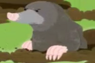 Creature Roundup Mole