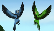 Parrot Power suits