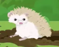 Creature Roundup Hedgehog.png (184 KB) Creature Roundup Hedgehog
