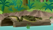 Green Anaconda.png (3.03 MB) Green Anaconda (Eunectes murinus)