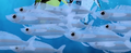 AntarcticSilverfish.png (1.53 MB) AntarcticSilverfish