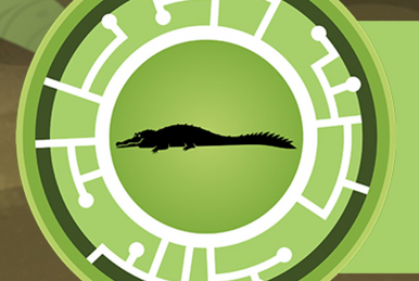 Wild kratts cheetah power disc store