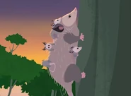 Jillybean in Jill's pouch