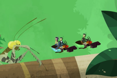 Wild kratts cheeks the hamster full episode top